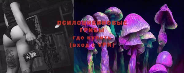 метадон Новозыбков