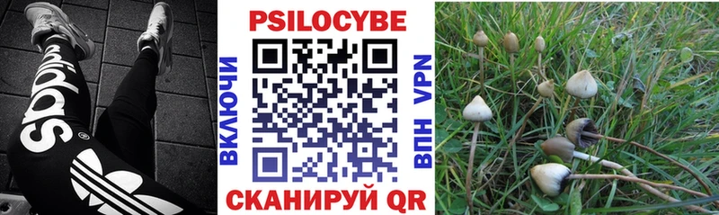 Галлюциногенные грибы мицелий Рязань