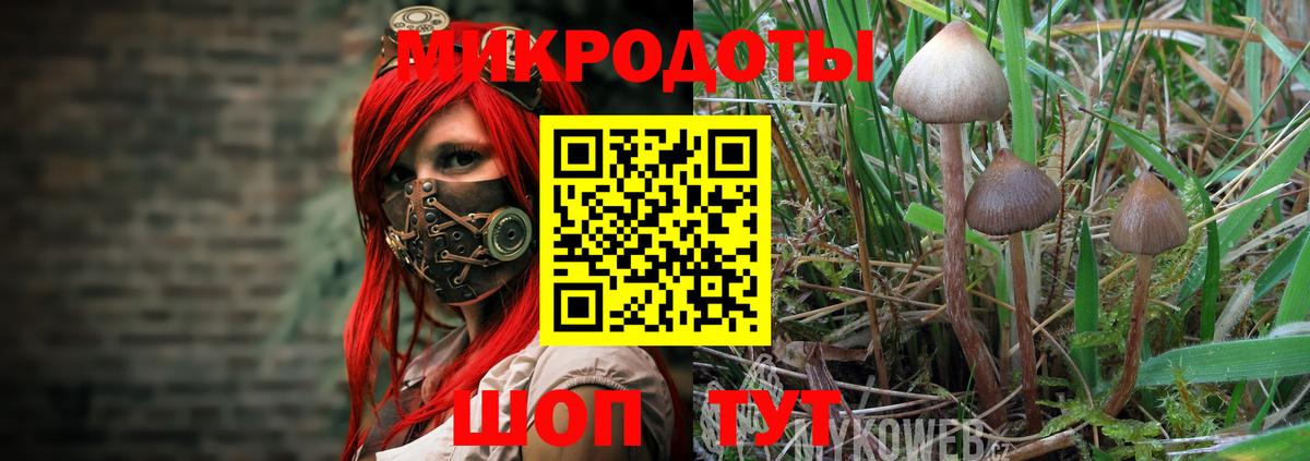 купить наркотики цена  Вход с VPN  Рязань  Псилоцибиновые грибы Magic Shrooms 