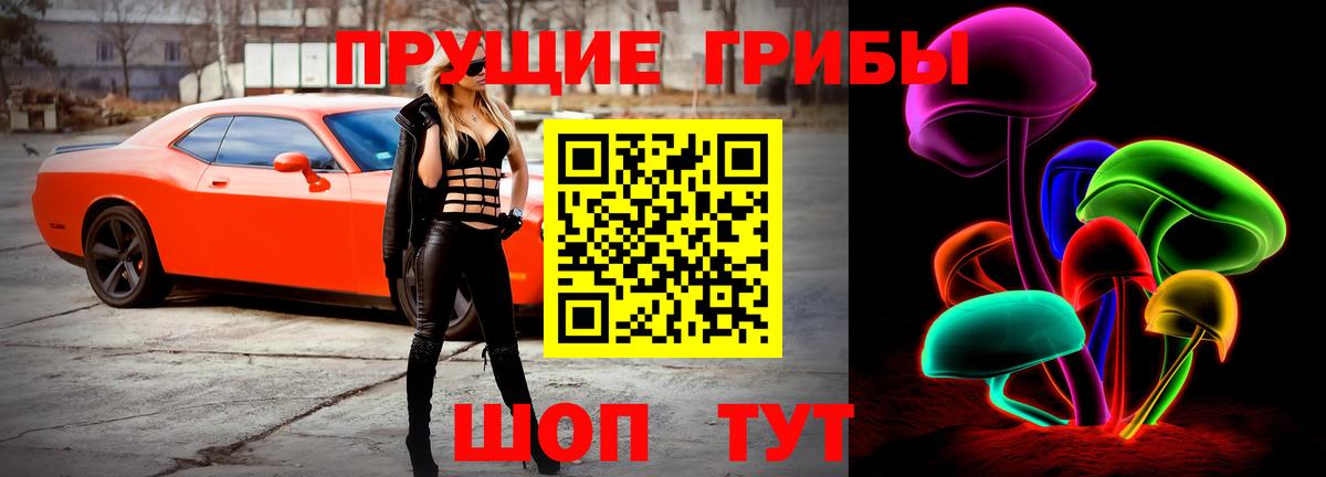 Галлюциногенные грибы прущие грибы Рязань